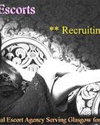 Butterfly Escorts Now Recruiting